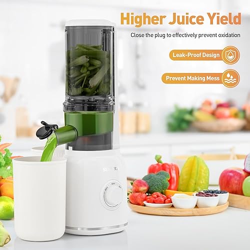 Miniatura 7 de Secura Exprimidor de prensa en frío con punta de acero inoxidable en espiral y filtro sin malla, exprimidor lento con motor silencioso y función