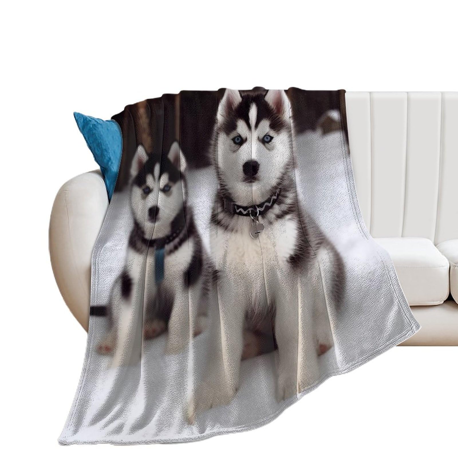 Couverture chaude pour l'hiver au motif Husky pour soirées sur le canapé