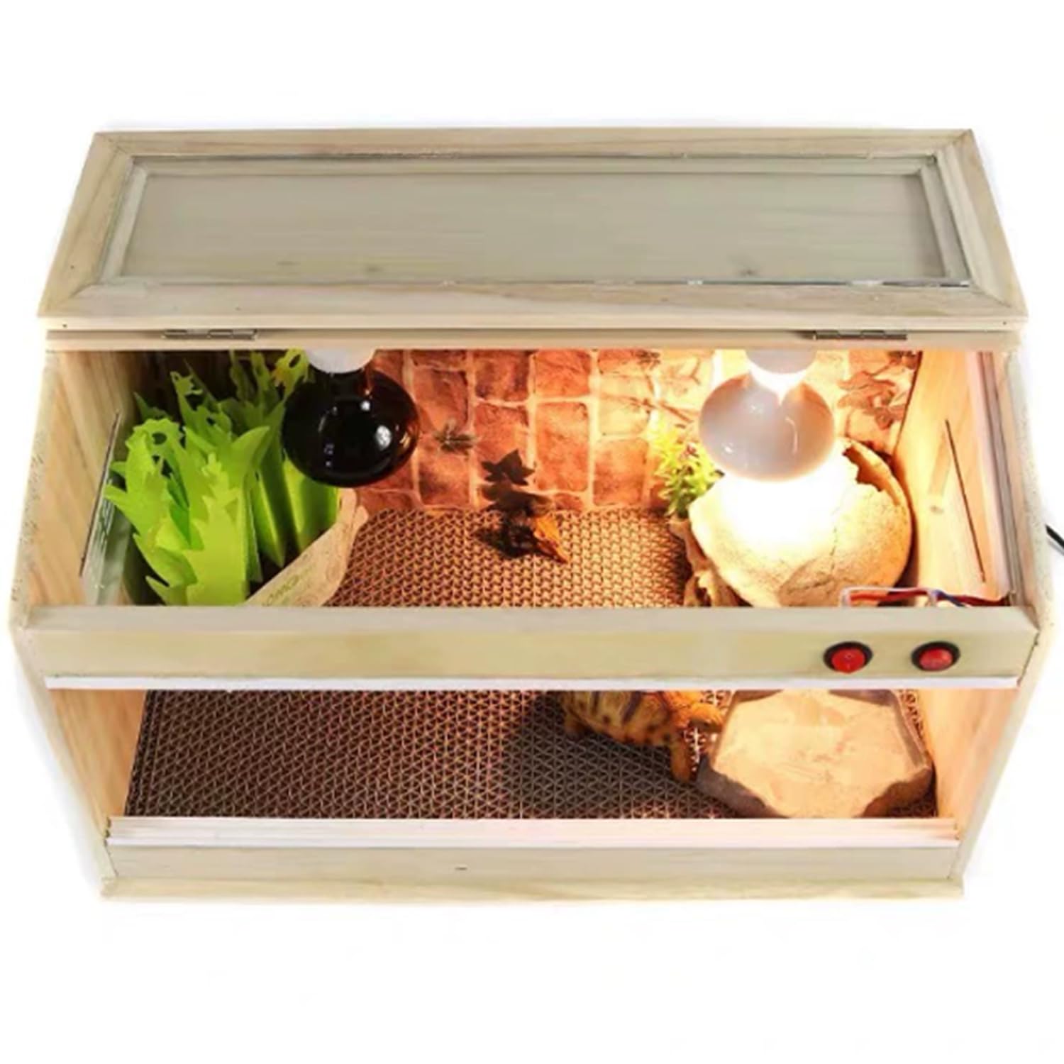 Hábitat de terrario de reptiles para mascotas pequeñas con función de incubadora, ideal para lagartos, camaleones y gecos, recinto interior