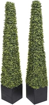 2 x Artificial Premium Quality Topiary Boxwood Pyramid Trees in Black Square Planter for Indoor Outdoor Decor, UV Stable 5ft/150cm