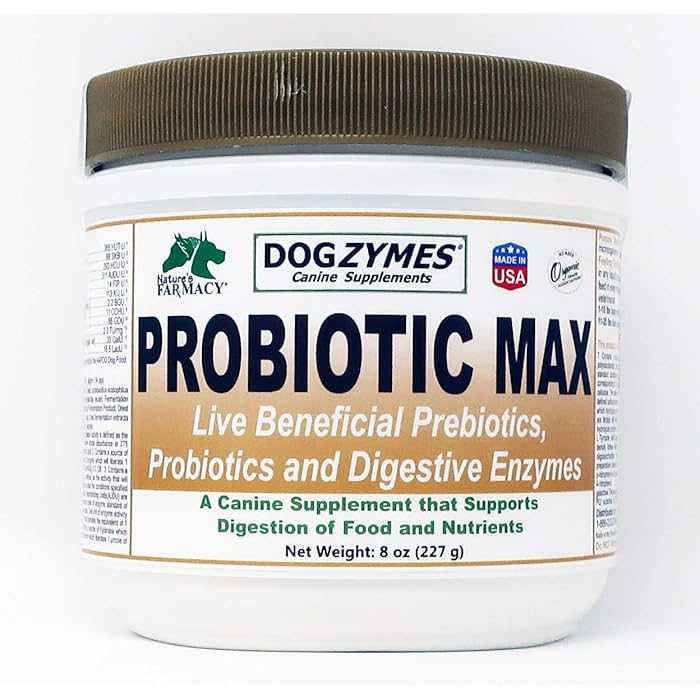 Buy Dogzymes Probiotic Max for Pets, 8Ounce Online at desertcart UAE