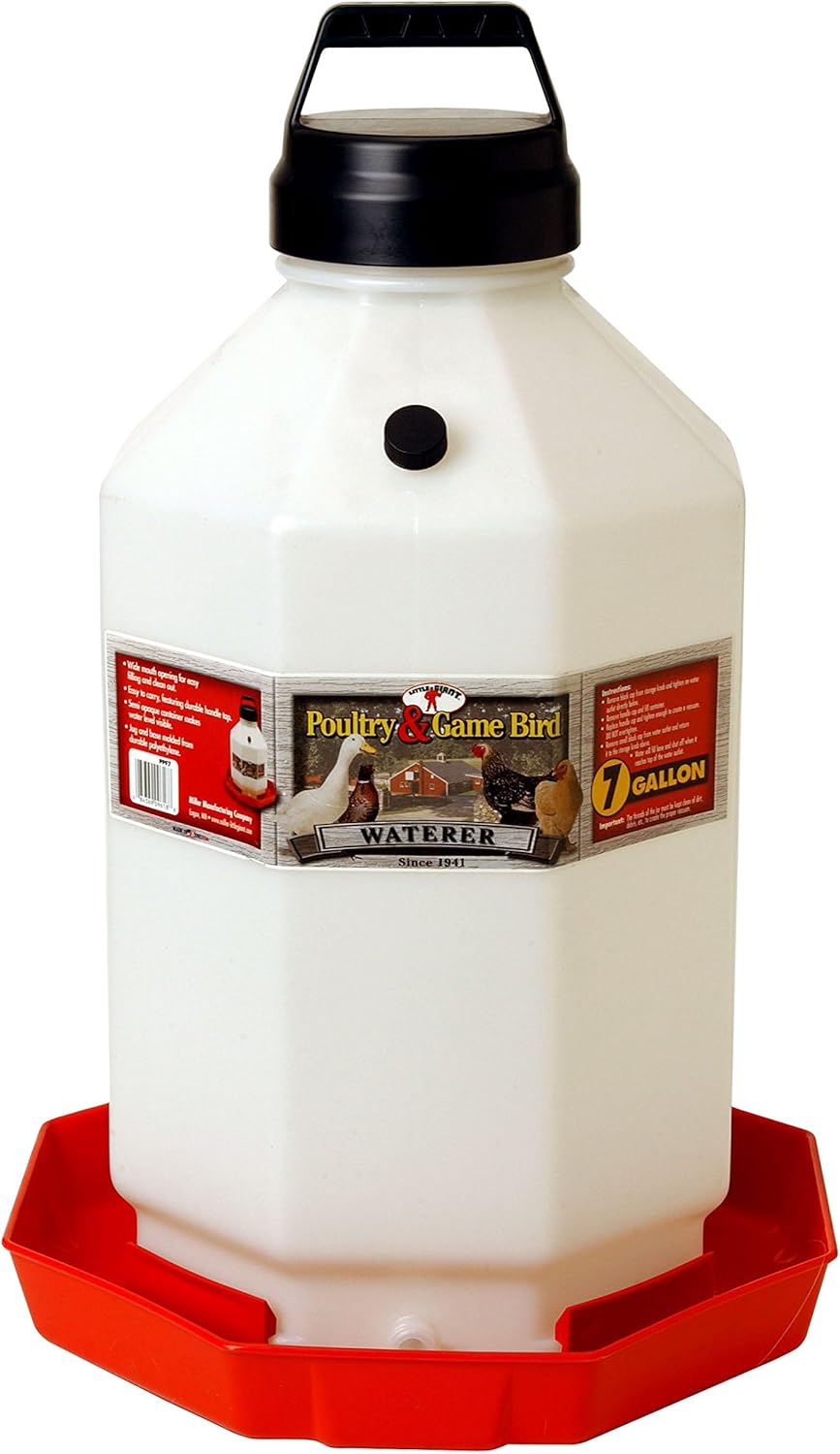 Miller Little Giant 7 Gallon Poultry Waterer Fount - The Best