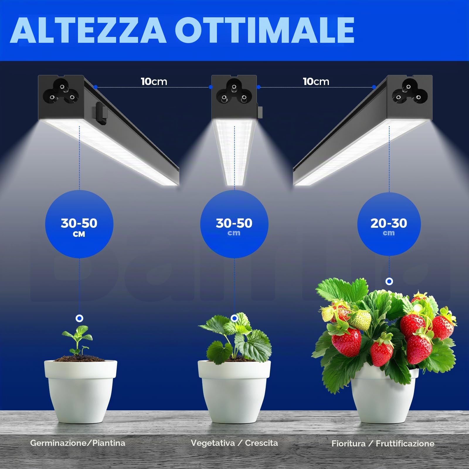 Barrina T5 - Lampada per piante da interno, 1 FT 29 cm, 5000 K, magnetica, confezione da 4