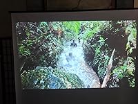 Review Image by David D David D