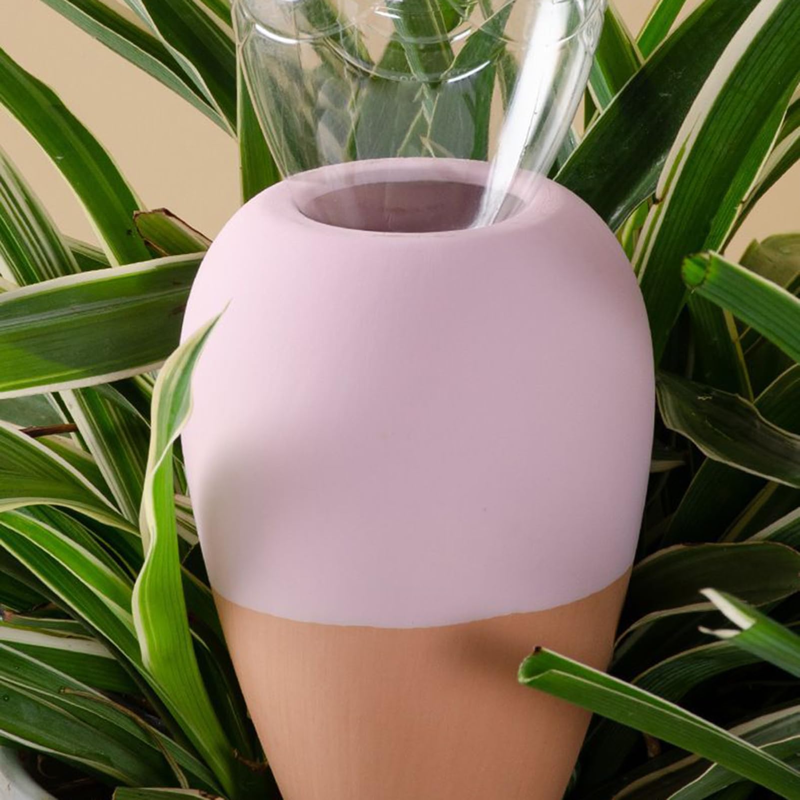 Punte di irrigazione 'acqua - Chiodi di irrigazione automatici | bastoncini di irrigazione automatici per irrigazione aiuola aiuola coltivazione vegetale serra fiori vivaio e alto
