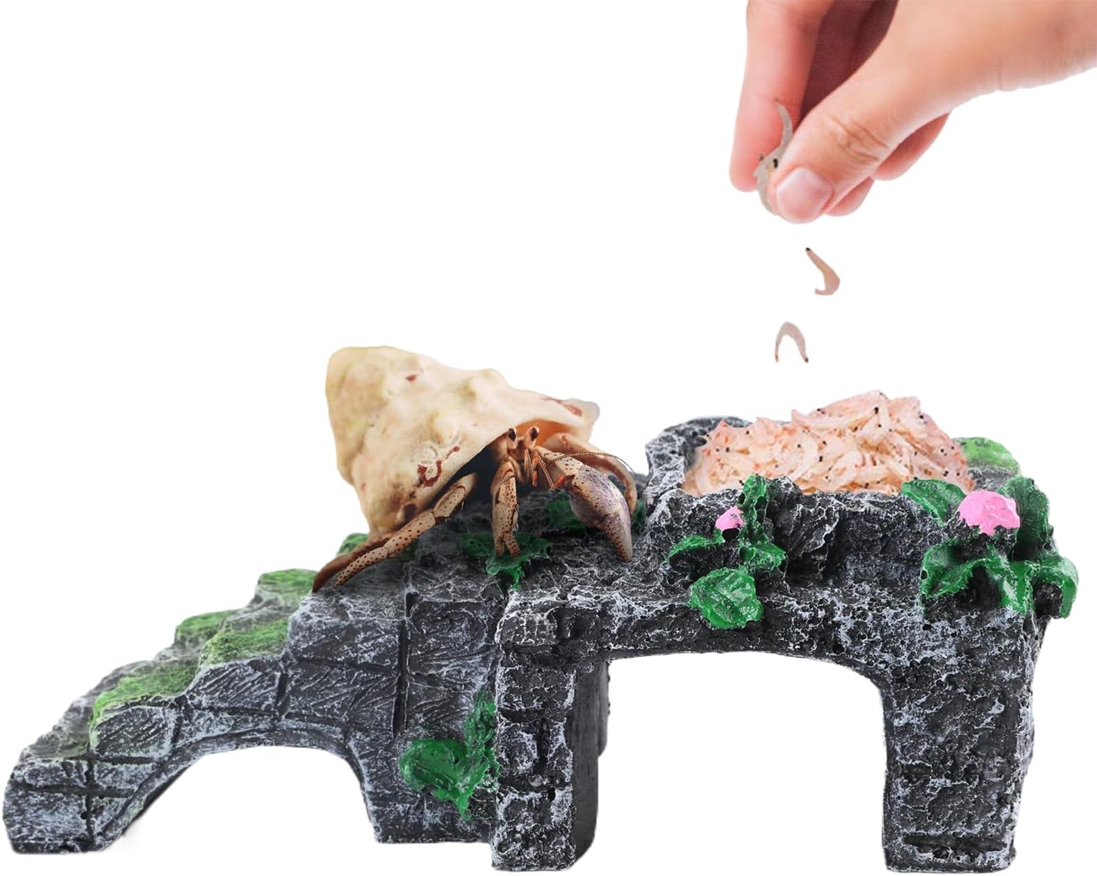 Hermit Crab Toys, Reptiles Toys Climbing Ladder with Water Bowl, Multifunctional Tank Accessories for Reptiles Cage Playing Lizards Entertainment Sleeping Enclosure