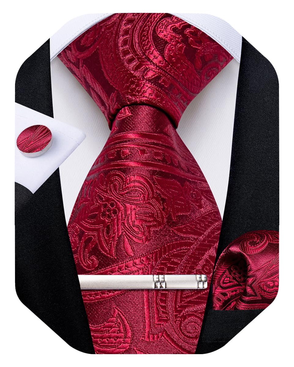 DiBanGu Silk Floral Ties for Men Woven Paisley Necktie