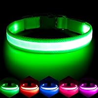 Vizpet LED Light Up Dog Collar - USB Rechargeable, Adjustable Super Bright Glowing Safety Collar for Night Walks (Medium, Green)