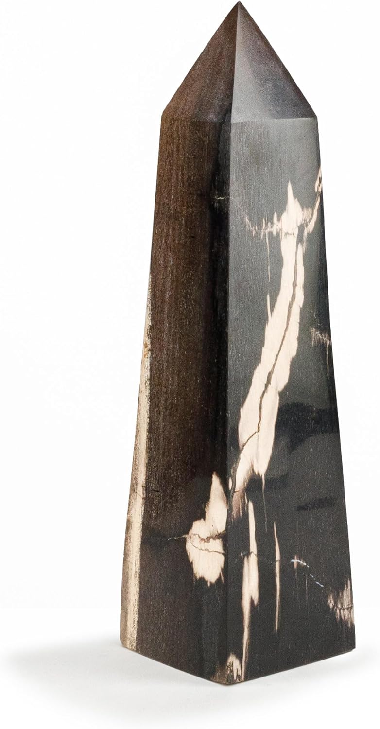 KALIFANO - 12" Black Petrified Wood Obelisk Point, Hand-Carved, Timeless, Unique, and Elegant Decor Accent, Office or Home Decor