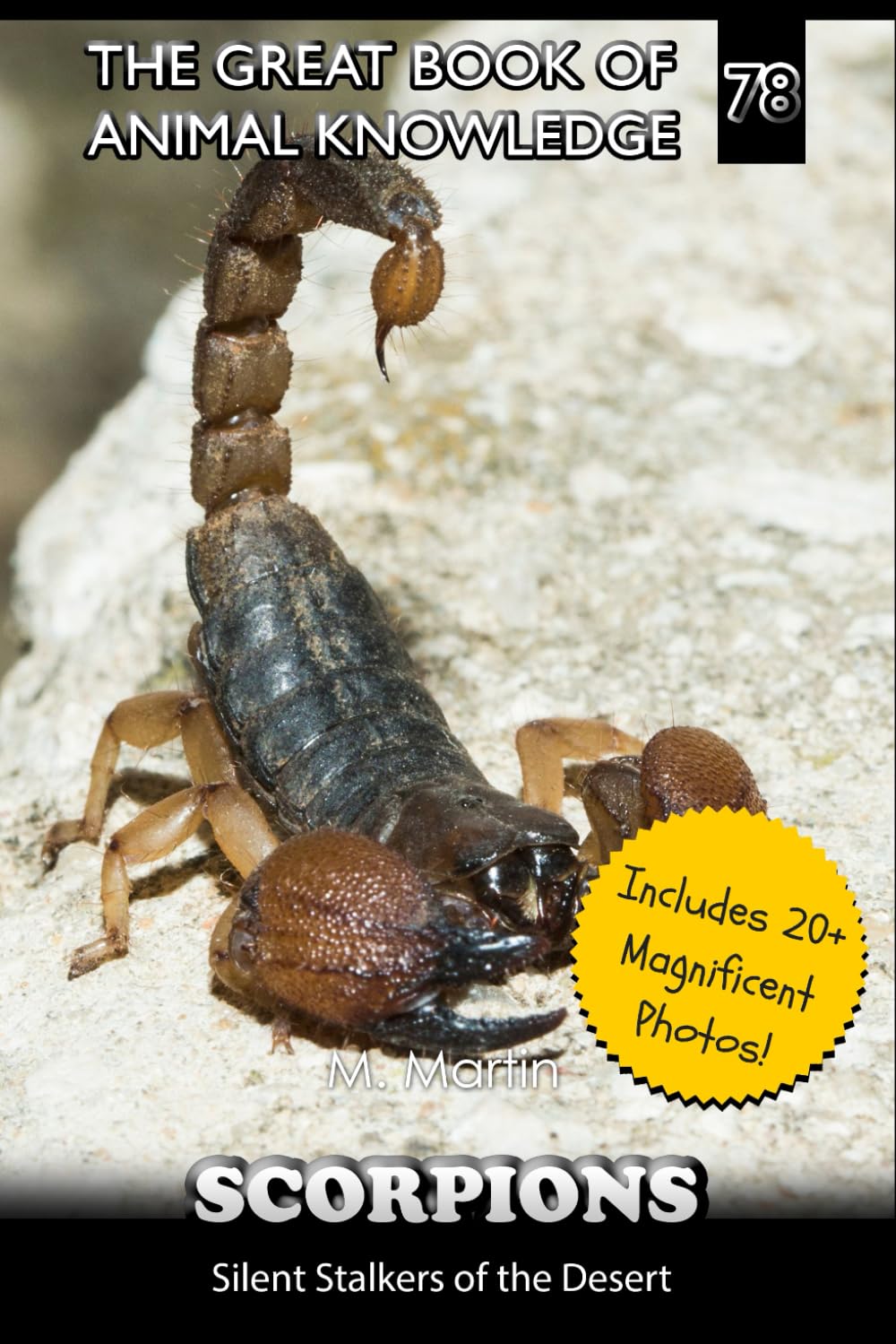 Scorpions: Silent Stalkers of the Desert: 78 (The Great Book of Animal Knowledge (Packed With Facts & Stunning Photos for Kids!))