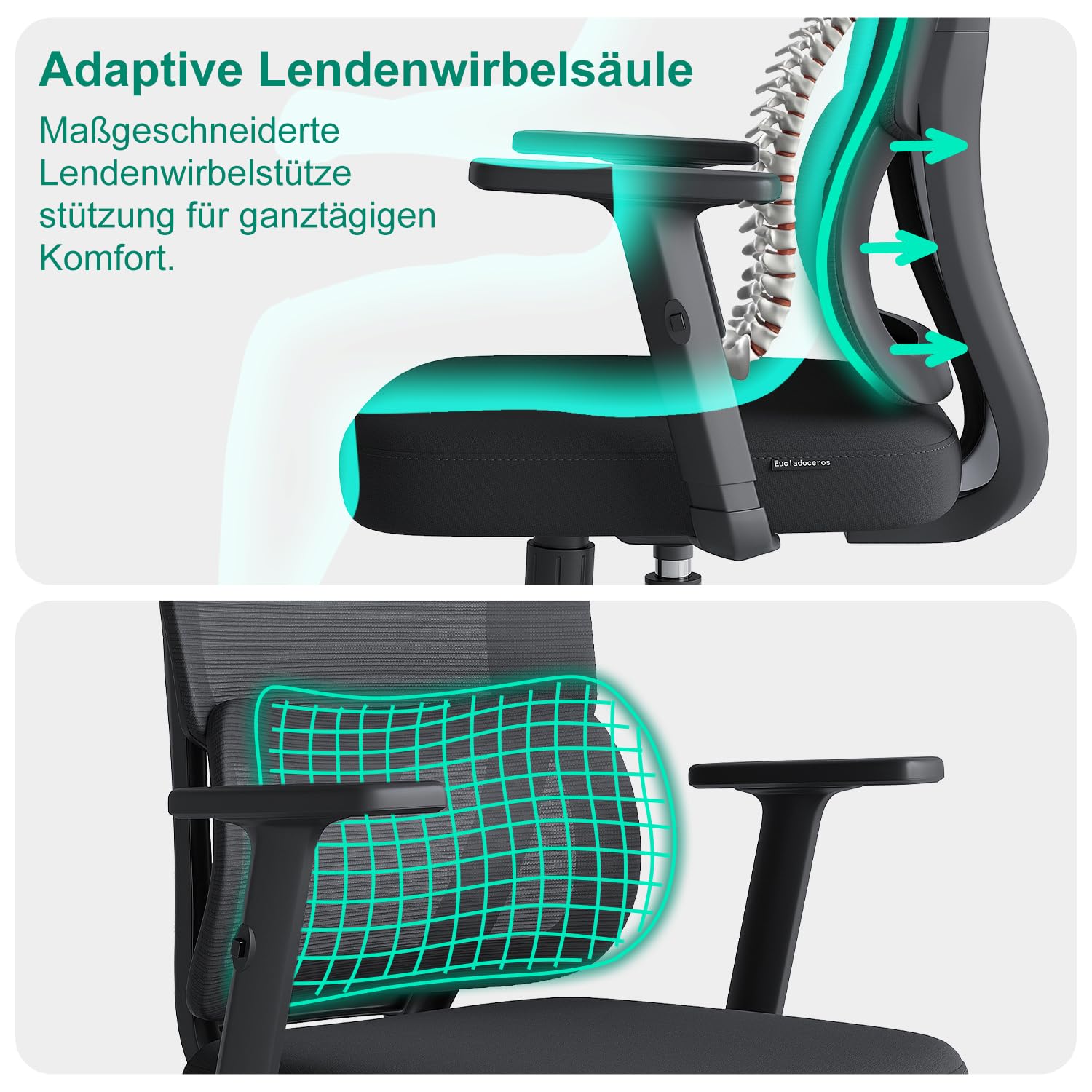 Produktbild von Eucladoceros Bürostuhl Ergonomisch - Verstellbare Lordosenstütze & Kopfstütze, 120° Wippfunktion