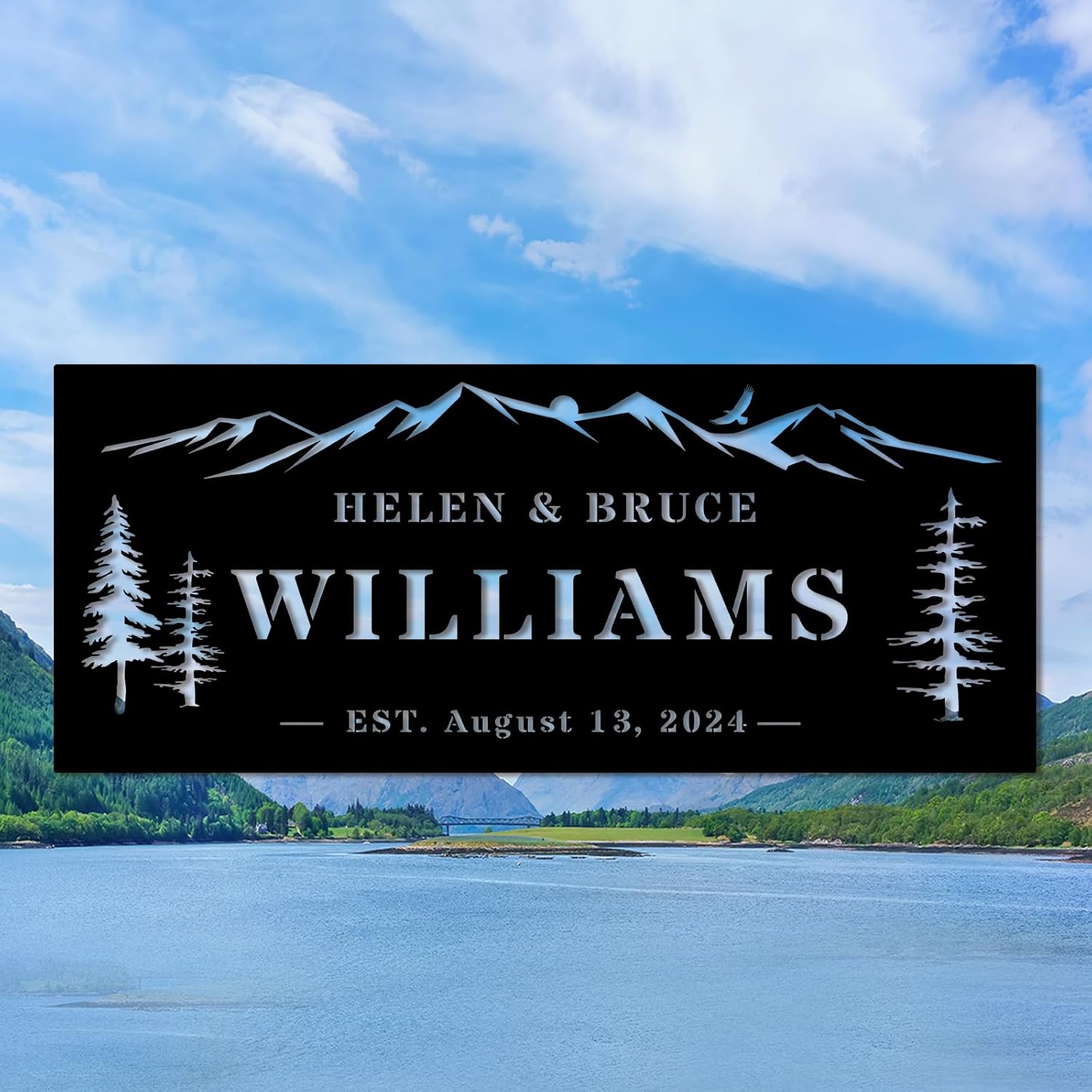 Wedding Gifts for Couples 2025, Personalized Wedding Gift, Custom Family Name Sign, Last Name Sign for Home, Established Signs, Housewarming Gift