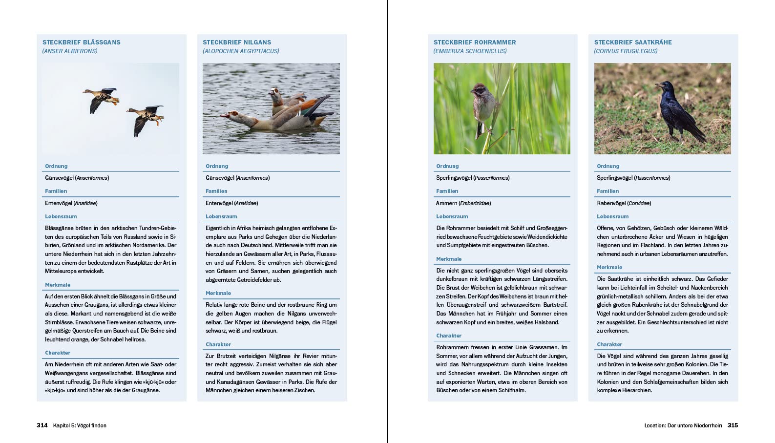 Vogelfotografie: Die große Fotoschule. Ihr praktischer Einstieg: Ausrüstung, Aufnahmetechnik, Bildgestaltung. Mit artenspezifischen Informationen