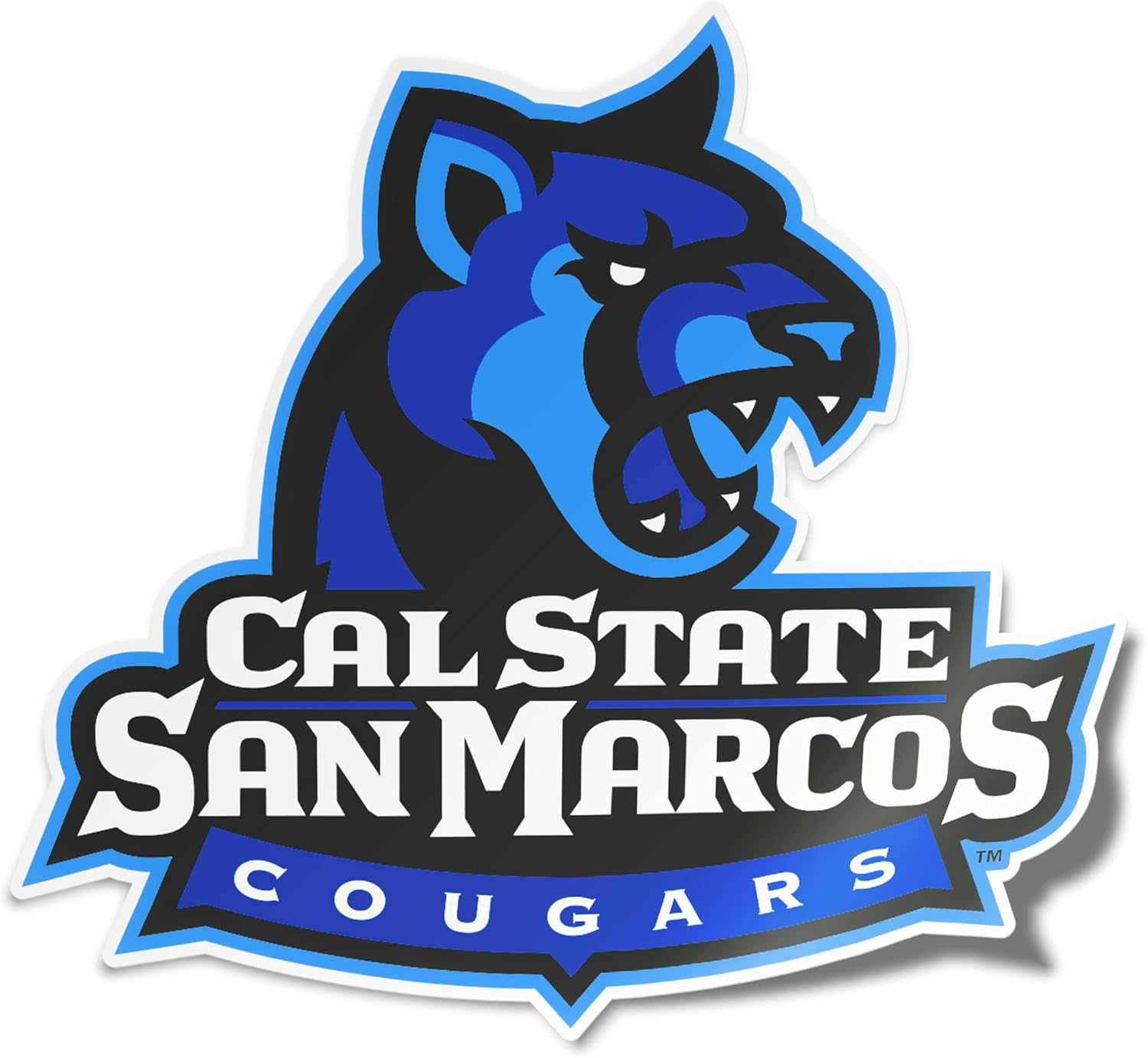 Amazon.com: Cal State San Marcos University California Cougars CSUSM ...