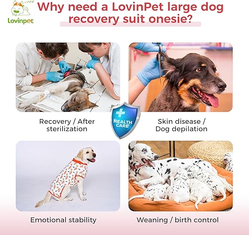 Miniatura 3 de LovinPet Trajes de cuerpo para perros después de la cirugía  Traje de recuperación de cirugía para perros hembras y machos, protección antilamidas,