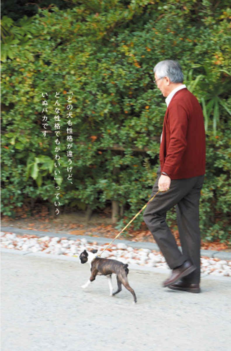 ねこバカ いぬバカ 孟司 養老 誠 近藤 本 通販 Amazon