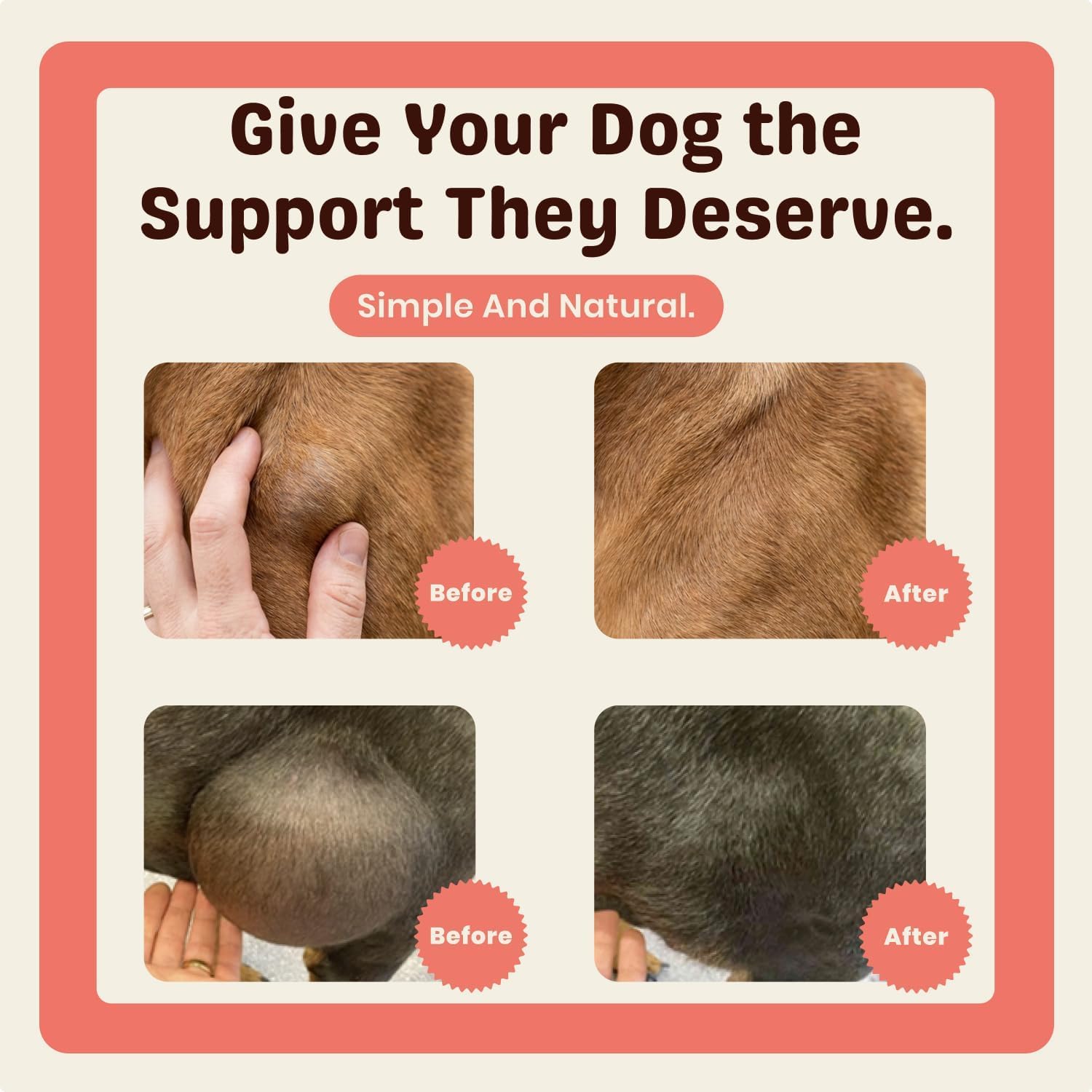 Turkey Tail Hund,Turkey Tail Mushroom Für Hunde, Nahrungsergänzung Für Hunde, Darmgesundheit, ImmunitäT & Vitalität,Unterstützt Die Verdauung,Für Die TäGliche Fütterung Alle Hunderassen (1PCS)