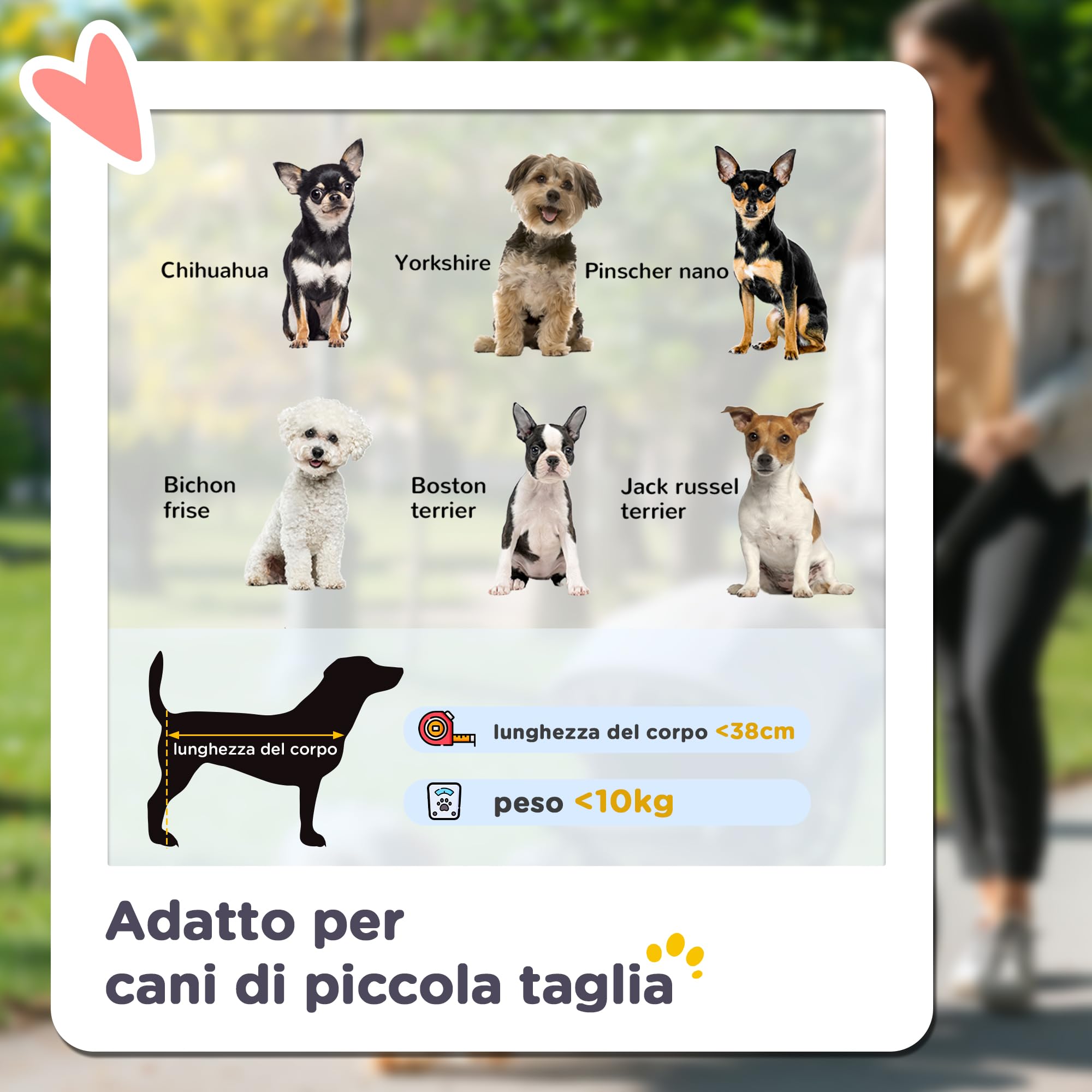 PawHut Passeggino per Cani Piccoli e Mini, Passeggino per Animali Pieghevole con Copertura Antipioggia, Cestino e Guinzaglio Integrato, Verde