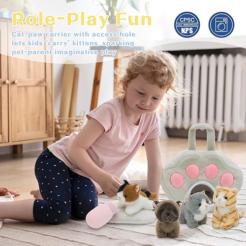 Vista 50 de Partyreal CA8241