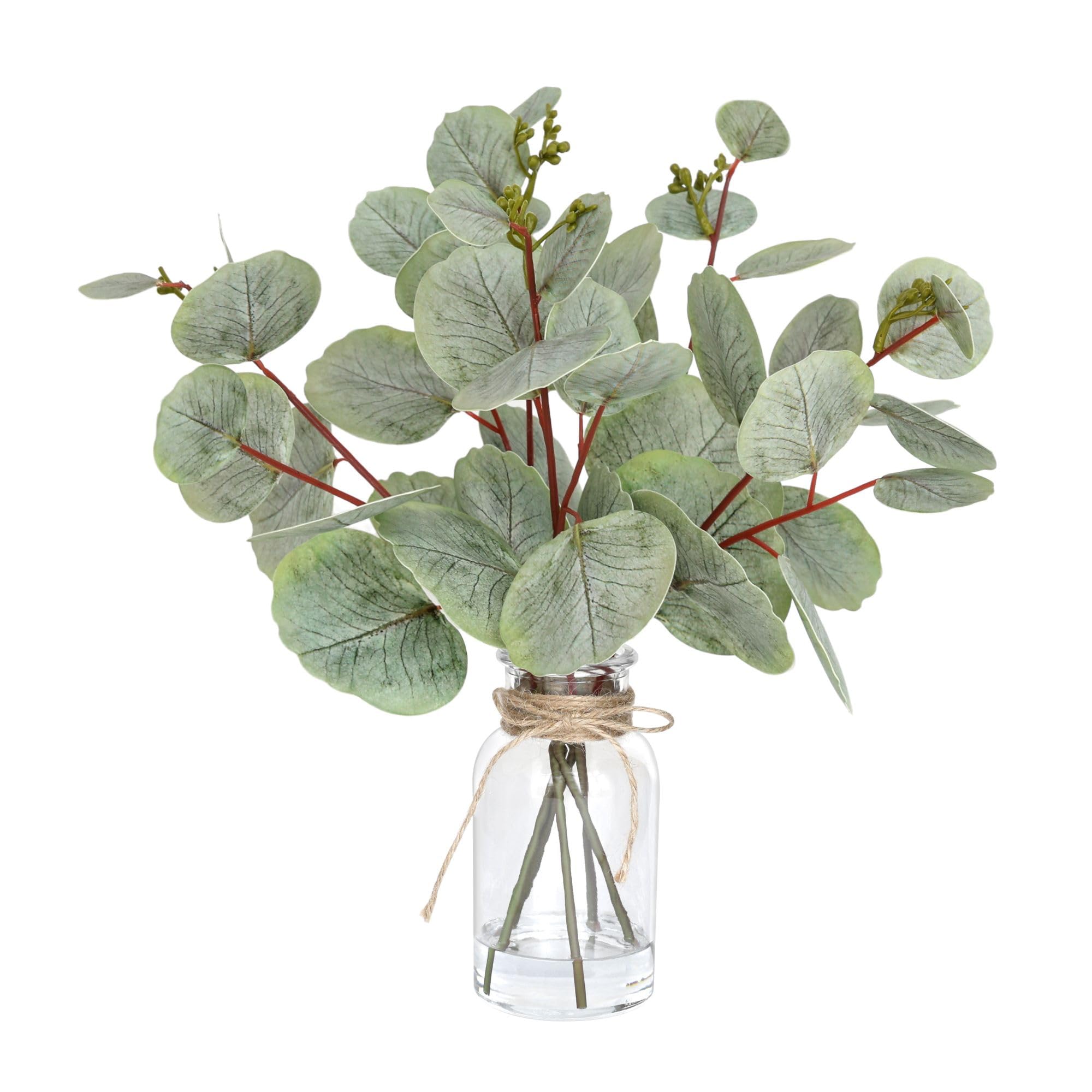 Muhanjia Artificial Eucalyptus Stems in Glass Vase with Faux Water,5Pcs Fake Plant with Double-Sided Leaves and Green Seeds for Centerpiece (Double-Sided Green Eucalyptus with Seed)
