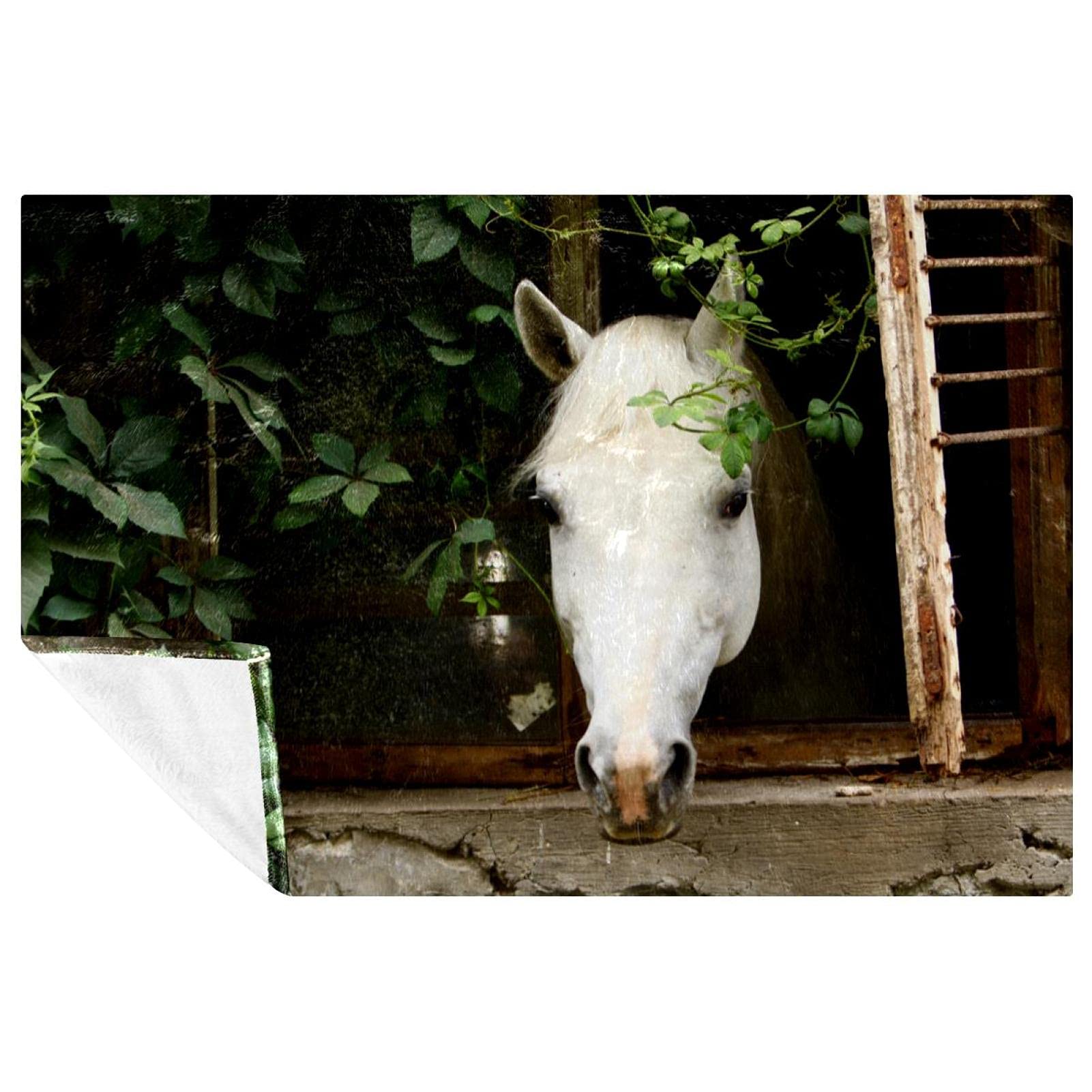 Couverture chevaux blancs douce : finis les plaids rêches qui prennent de la place