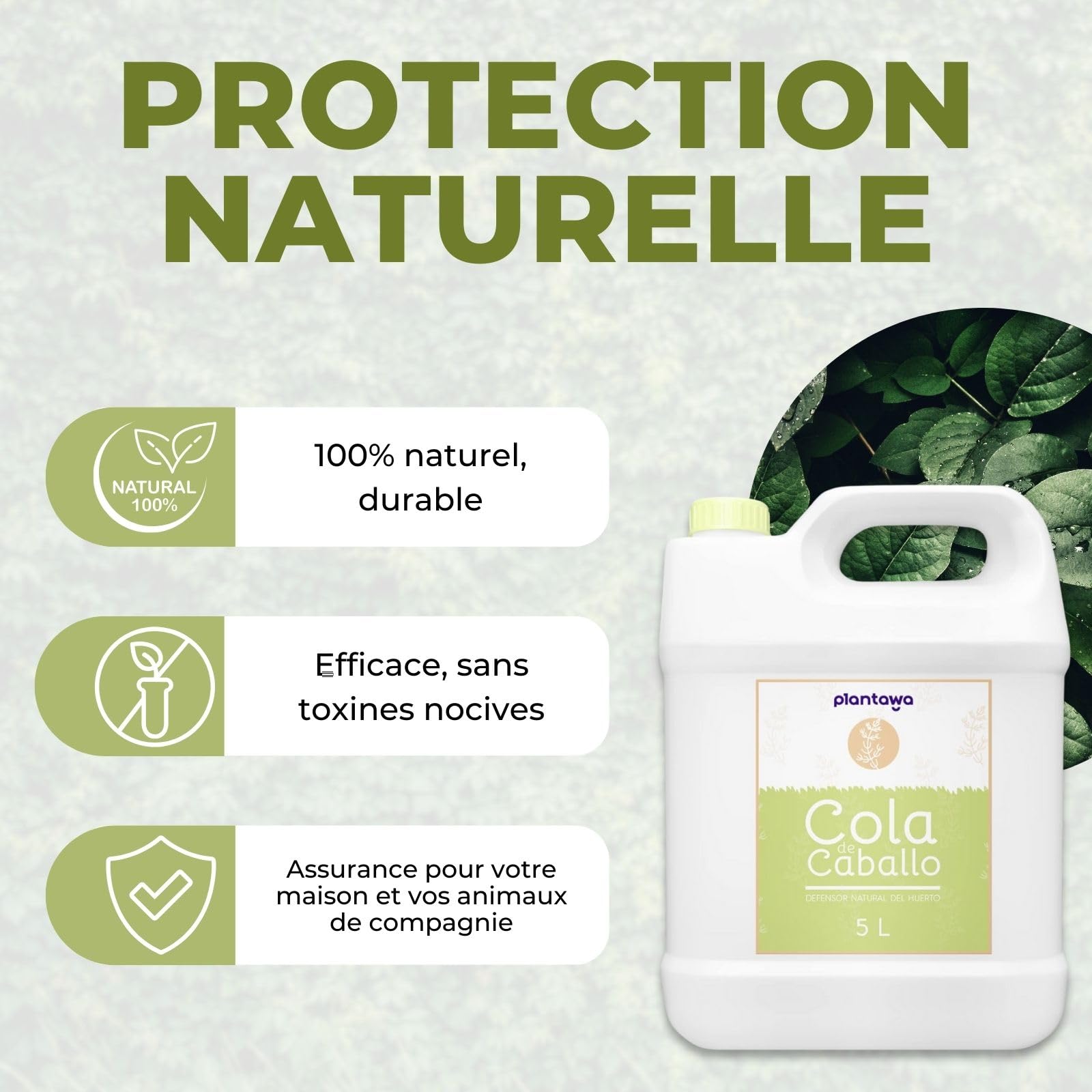 PLANTAWA Purin Prêle pour Plantes 5L | Biostimulant pour Plantes Renforcement des Plantes avec de la Silice et du Calcium | Lutte contre les Parasites et Champignons | Fongicide | 100% naturel