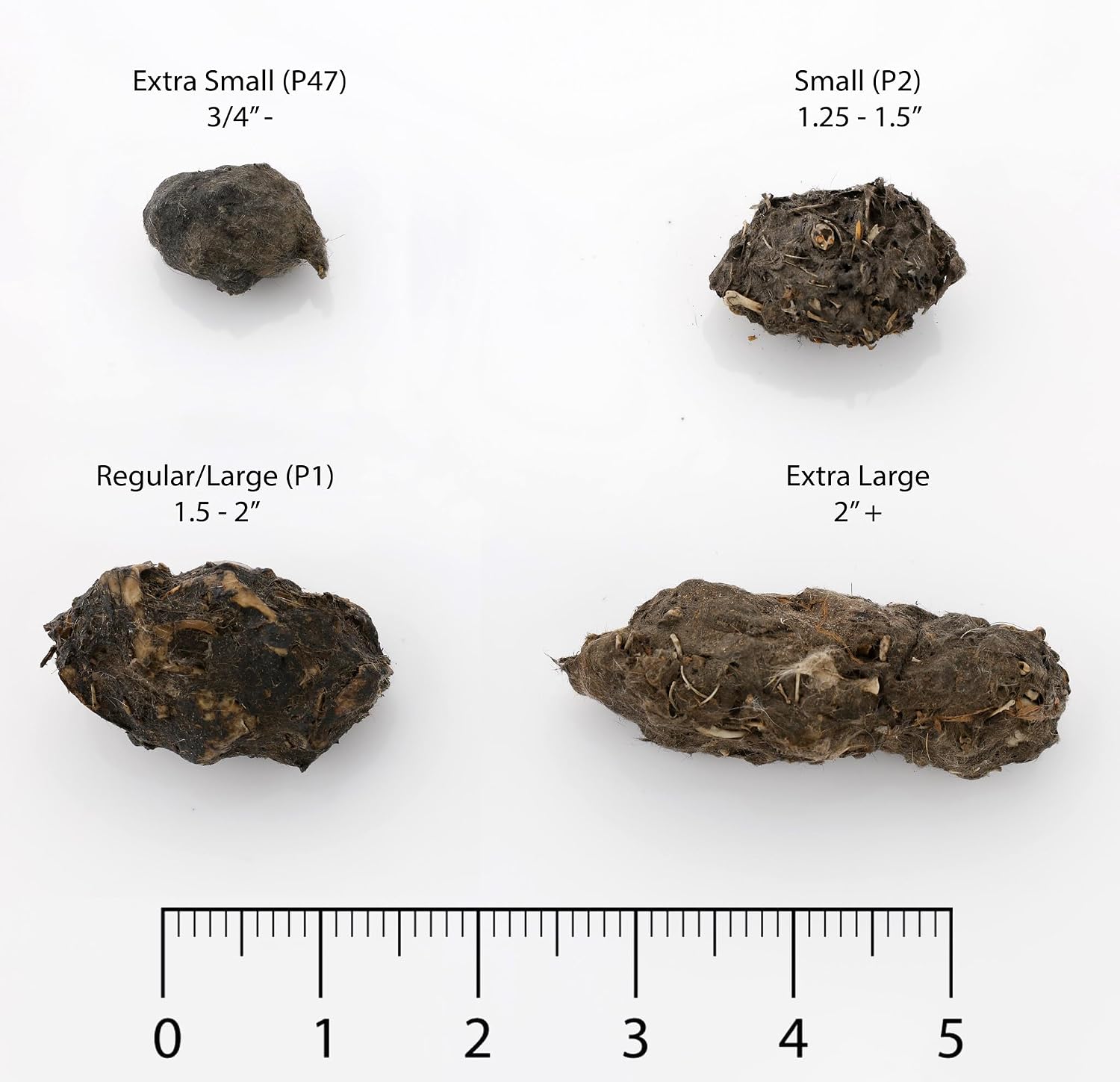 Barn Owl Pellets, Pack of 50 Small Pellets, Individually Foil Wrapped & Pre-Graded, Science Classroom Hands On Dissection Kit