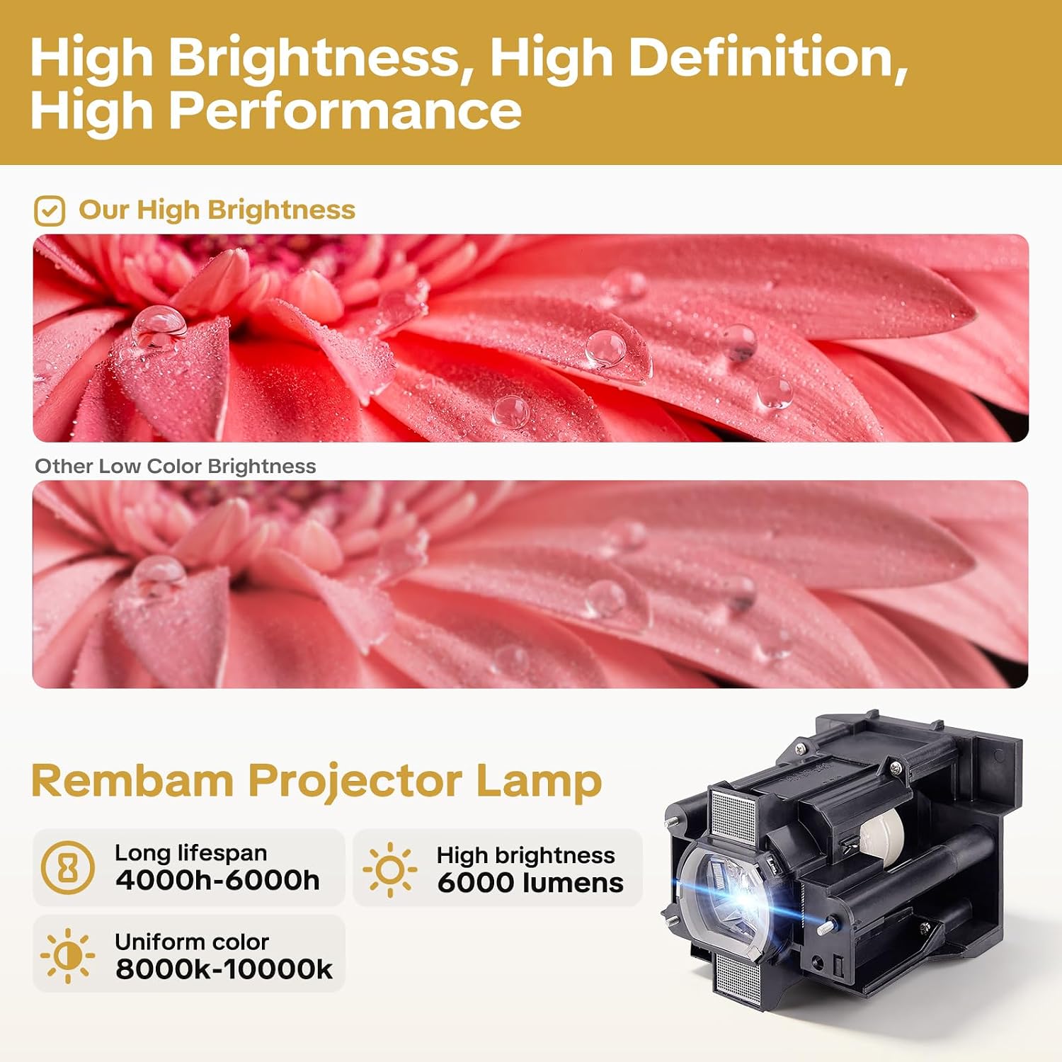 DT01291/ CPWX8255 Replacement Projector Lamp Bulb with Housing for Hitachi CP-X8160 CP-WU8450 CP-WX8255 CP-SX8350 CP-WU8451 CP-WUX8450 CP-WX8255A HCP-D757S HCP-D757U HCP-D757W
