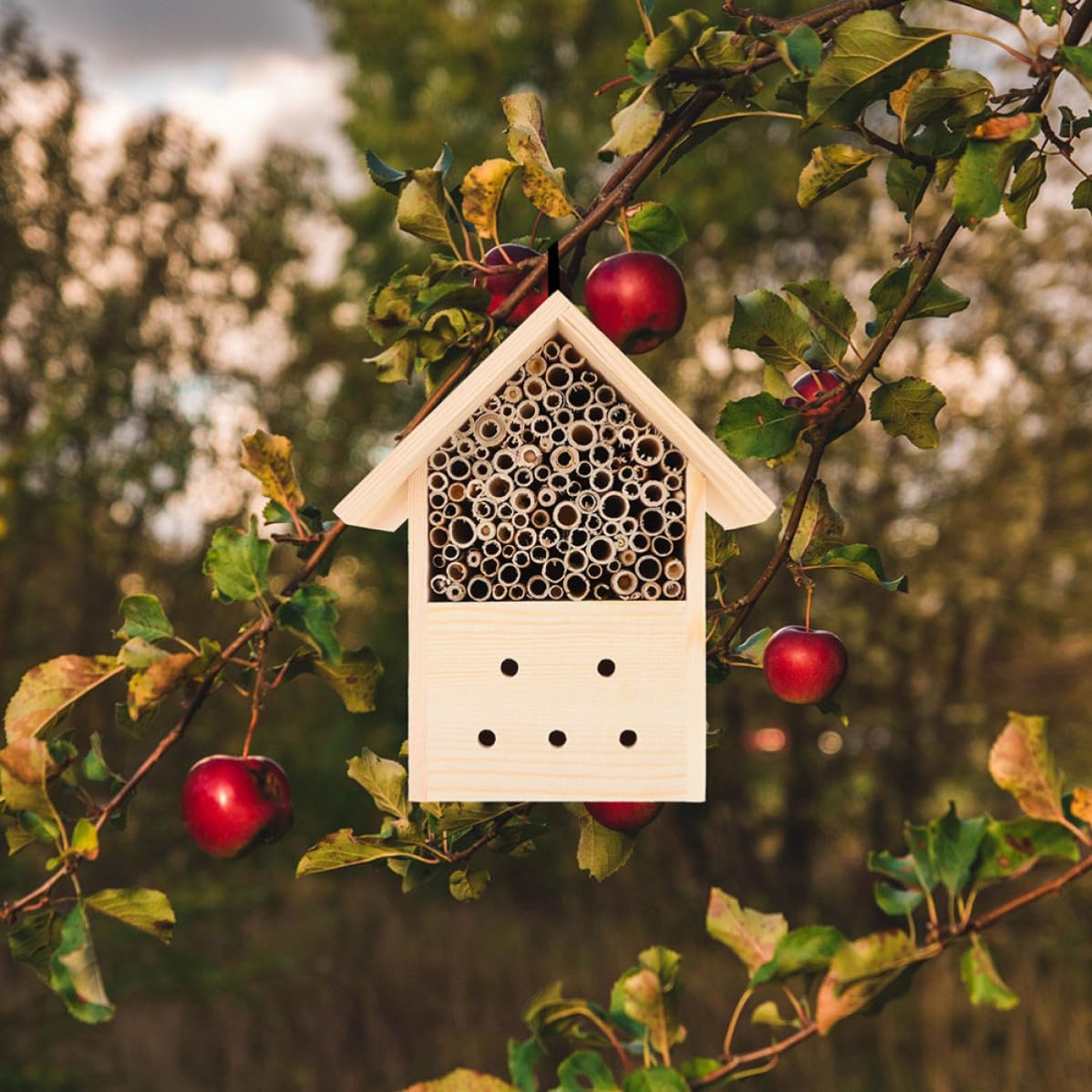 2 Piezas Casa de Abejas de Madera Tipo Cabaña para Jardín Exterior