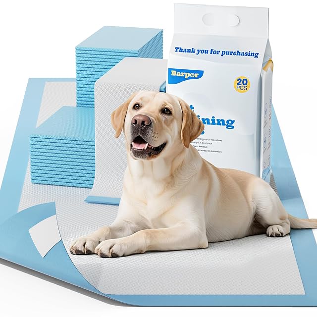 Empapadores Perros Extra Grandes 60x90cm