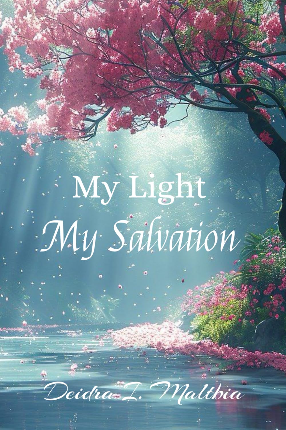 My Light My Salvation