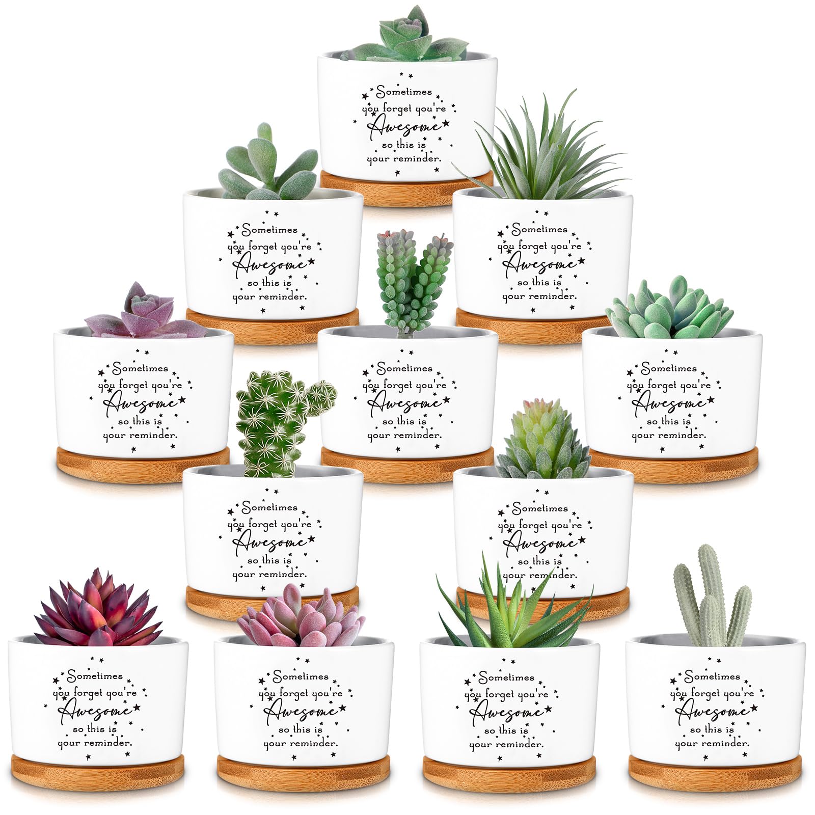 Seewey 12 Pcs Appreciation Succulent Pots Gifts Inspirational Ceramic Plant Pot with Bamboo Tray Birthday Christmas Thank You Gifts for Employee Coworker Teacher Nurse Volunteer