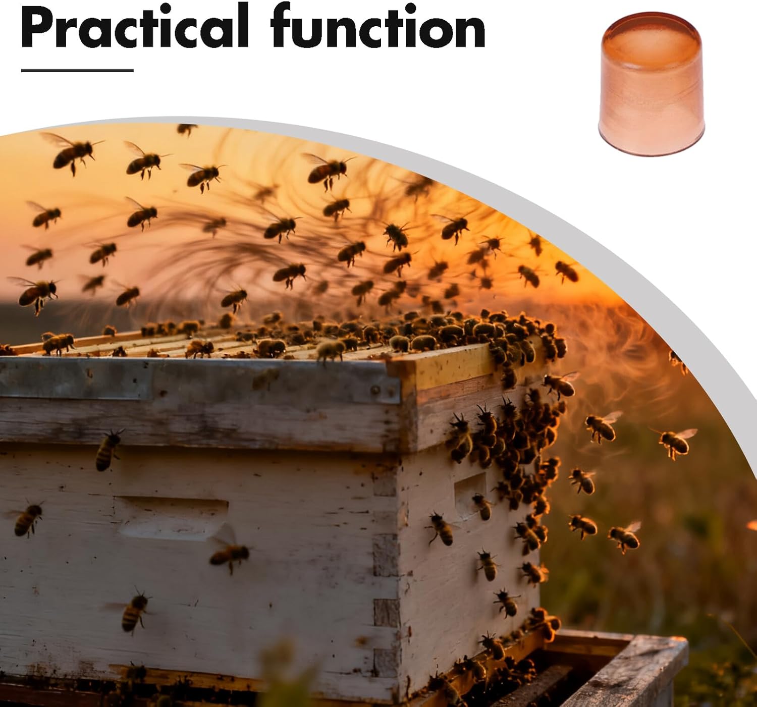 GALPADA 2000pcs Queen Rearing Cups and Mini Hive Plastic Incubator Set for Beekeeping Cell Cultivation with Bee Queen Grafting Tools, 0.4 Inch Breeding Kit for Apiary Management