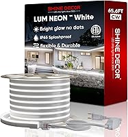 Vista 2 de Shine Decor Paquete de productos de Dimmer Pack Remote con kit de luces LED de neón blancas de 20M65.6ft