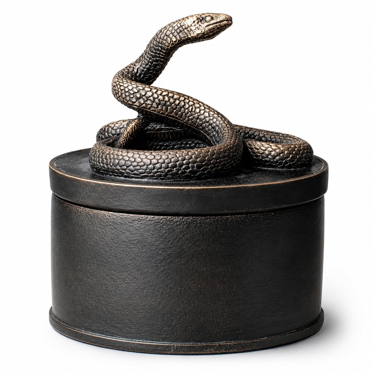 Boîte cabinet de curiosités mystique serpent noir mat pour bijoux