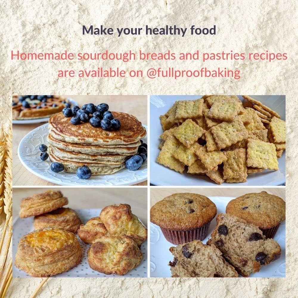 Full Proof Baking Sourdough Starter Kit | 1/2 Hour Guide Video (link) | Two 10oz Glass Smart Jars w/Thermometers, Rulers, Feeding Ratios | Digital Scale | Spatula and Scoop, (Starter Not Included)
