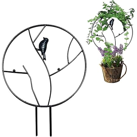 Amazon Deaboat 園芸支柱 植物支柱 支柱だけ つる性植物 花支え 観葉支柱 ガーデニング用品 植物サポートステーク フラワースタンド 支柱棚 野菜 果物 苗木 誘引支柱 固定 園芸 盆栽用 農業用 Diy鉢植え 2点セット 園芸用結束用品 支柱パーツ