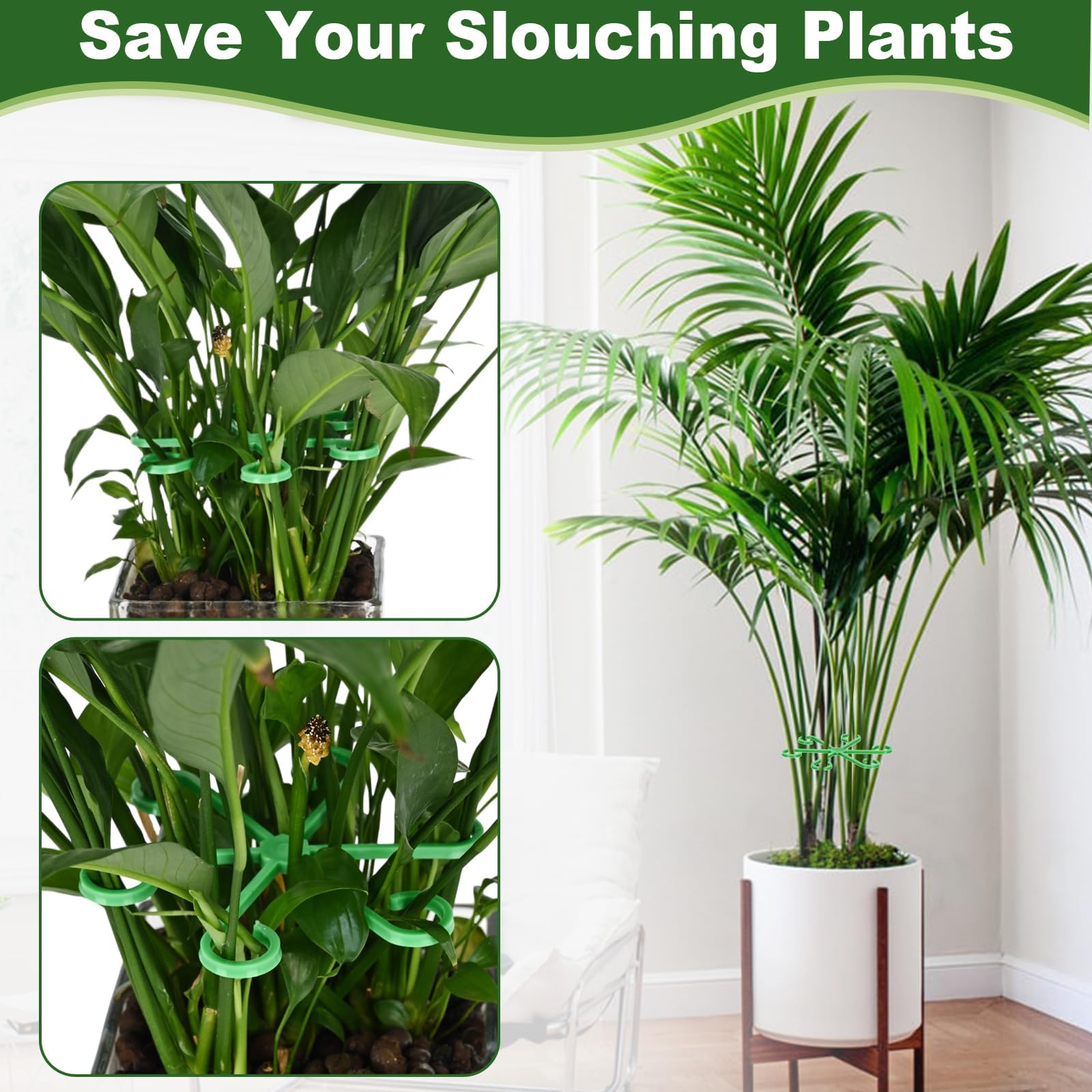 Plant Stem Supports - Stabilize Climbing Plants -5 Plant Stem Supports - Stabilize Climbing Plants -5