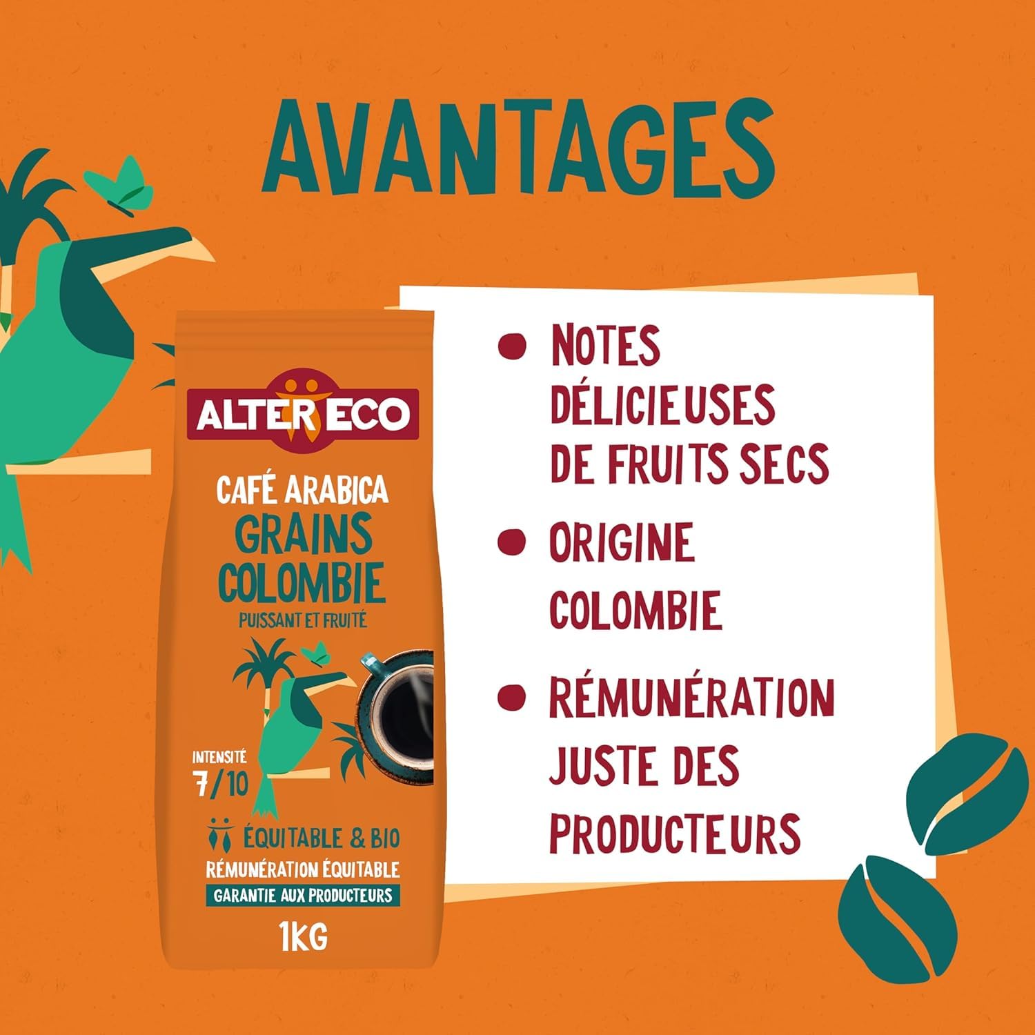 ALTER ECO - Café Grains - Café Arabica Bio de Colombie - Issu du Commerce Equitable - 1 kg