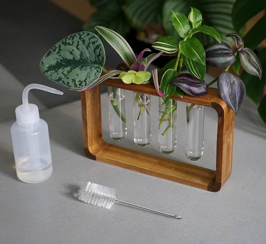 Plant Propagation Station - Acacia Wood Stand 4 Glass Test Tube Hydroponic Tabletop Rooting Terrarium Planter Rack Home and Office Decor - Gift for Plant Lovers