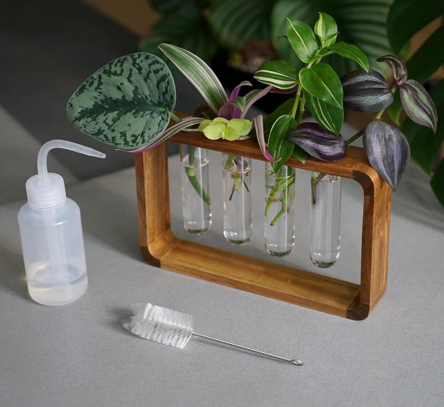 Source & Plot Propagation Station