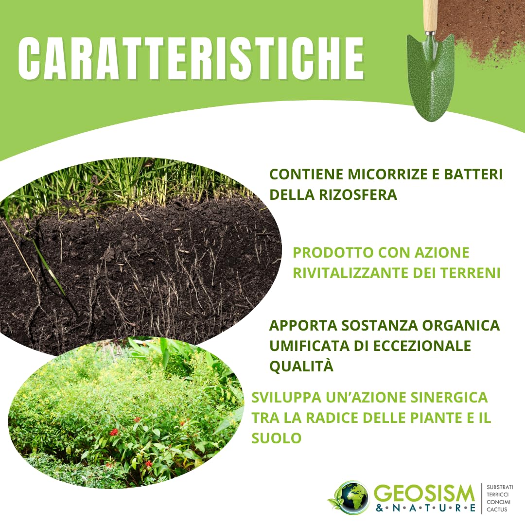 Geomicor Radicant Solid, (1 kg), inoculo granulare di funghi micorrizici e batteri della rizosfera per ortaggi, piante e fiori