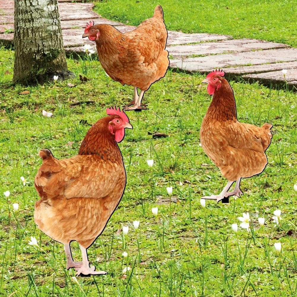 Coq en acrylique résistant aux intempéries et durable pour pelouse et cour