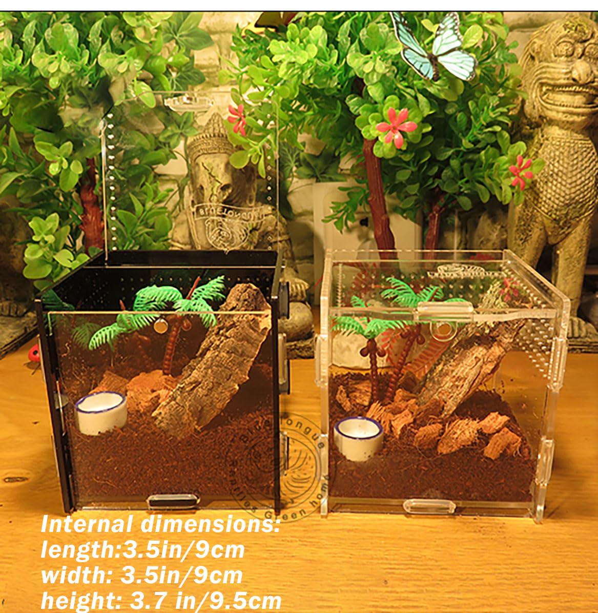 Springende Spinne Futternapf Aus Acryl – Magnetisch, Transparent, 4,5 X 4,5 Zoll | Für Springspinnen, Vogelspinnen & Kleine Reptilien