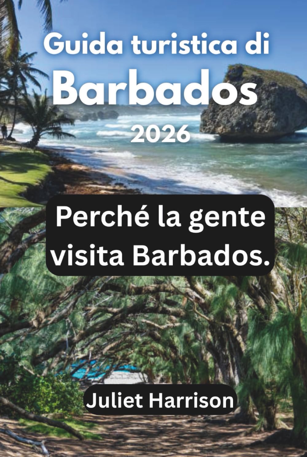 Guida turistica di Barbados 2026: Perché la gente visita Barbados.
