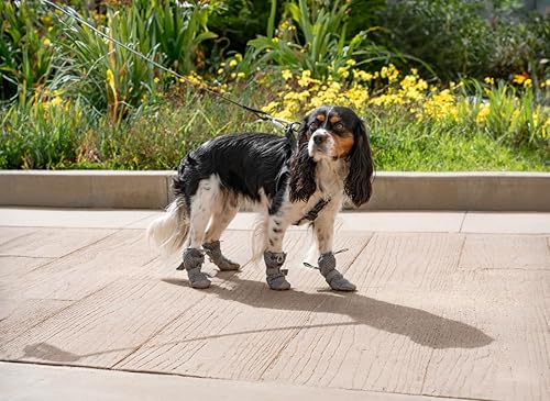 Miniatura 8 de Canada Pooch Botas para perros para pavimento caliente, botas para perro y protectores de patas con goma antideslizante, aptas para agua, zapatos