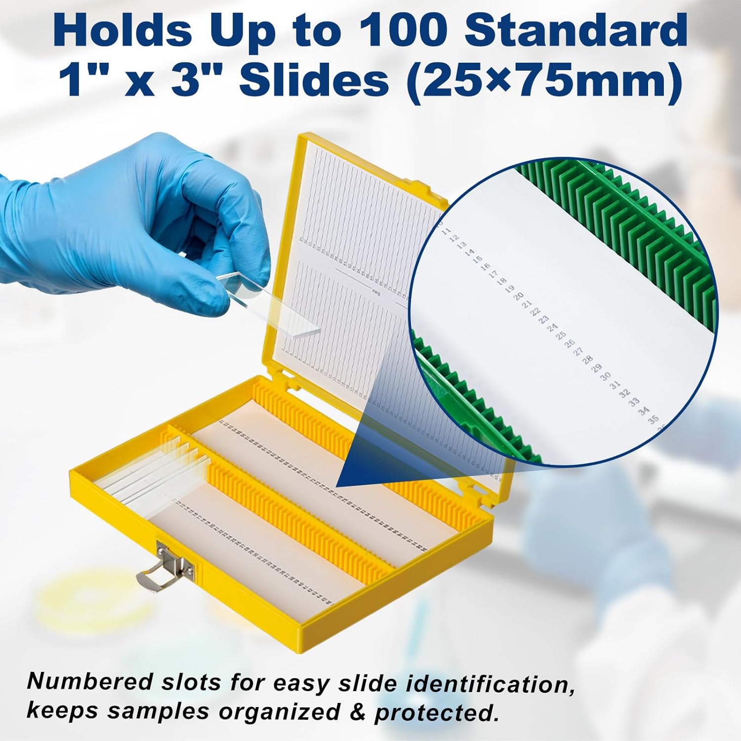 Microscope Slide Storage Box, 100-Place Plastic Microscope Slide Holder with Foam Liner, for 25mm × 75mm Microslides, Assorted Colors, Pack of 5 - Image 3