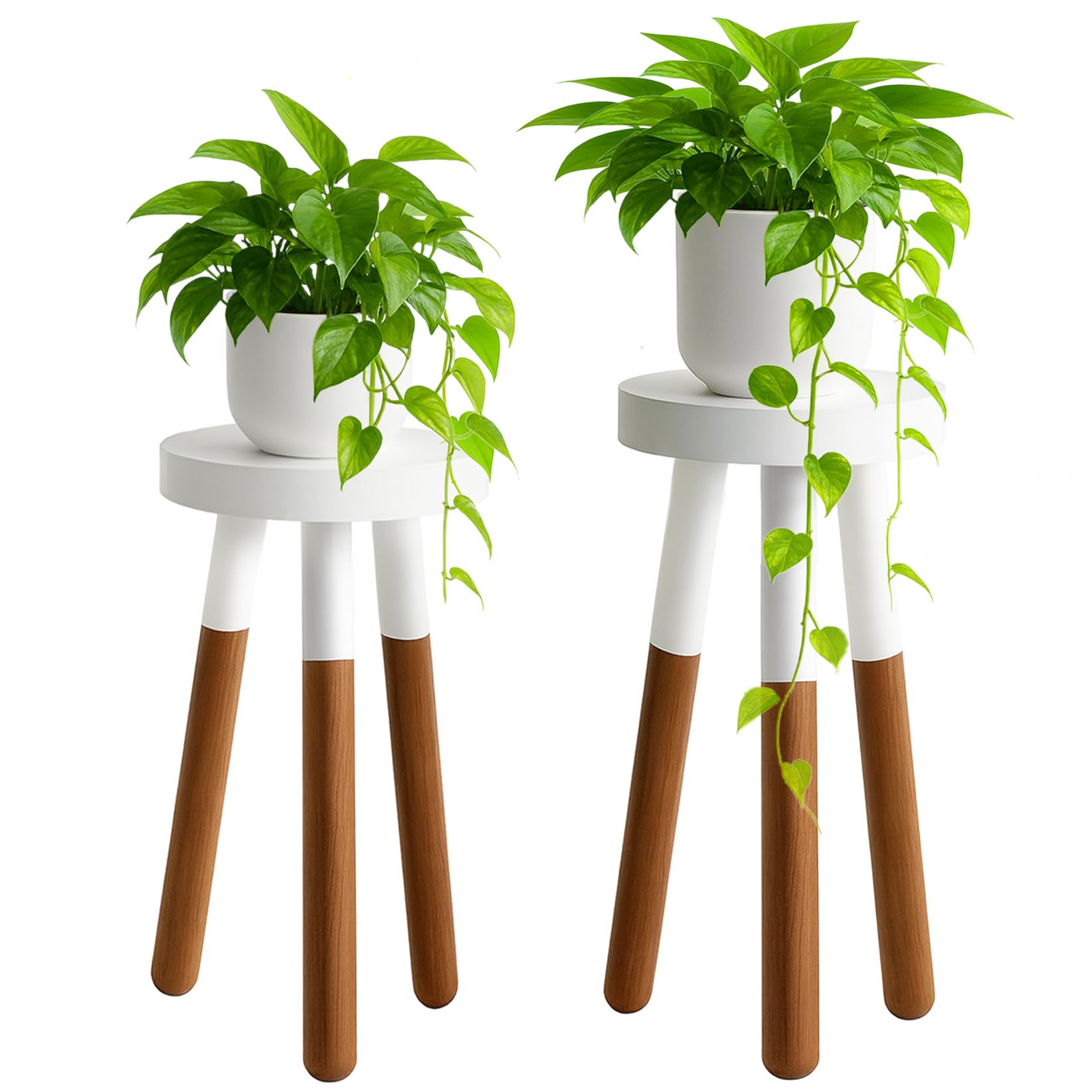 Support pour plantes en bois tabouret de bain pour un salon verdoyant