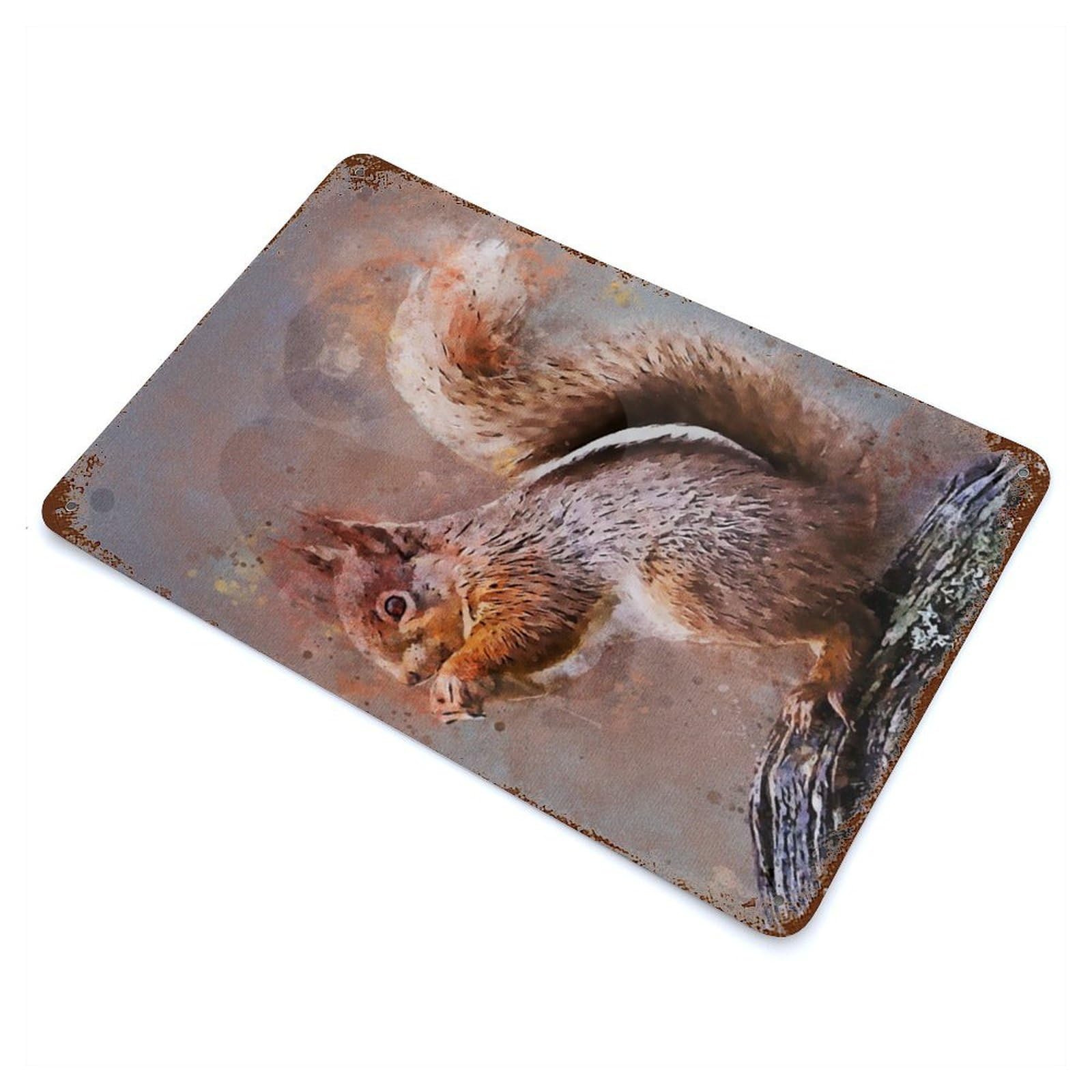 Splatter Squirrel Rustic Tin Plaque 11.8"x7.9", for Shed, Workshop And Garage Wall Decor, Shabby Chic Decor