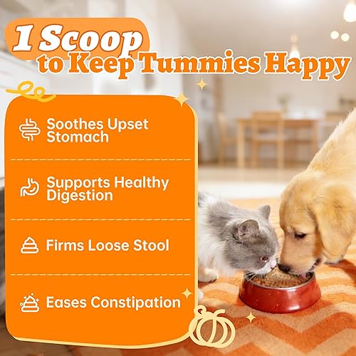 Miniatura 2 de Wellix Pumpkin Powder for Dogs & Cats - Fiber Supplement, Digestion Support, Firms Stool, Dog & Cat Diarrhea, Prebiotic & Probiotic Powder - Food